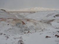isländische Tundra